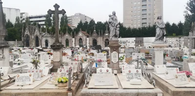 Porto - Photo 2