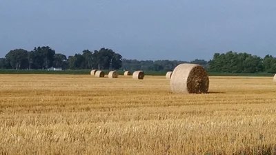 Pulaski County - Photo 2