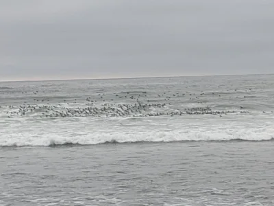 Montauk - Photo 3