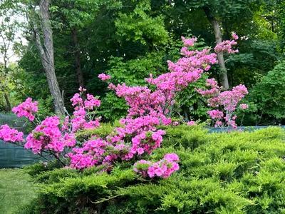 Closter - Photo 2