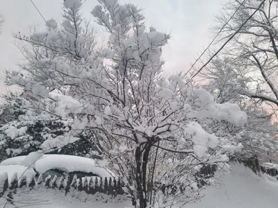 Closter - Photo 3
