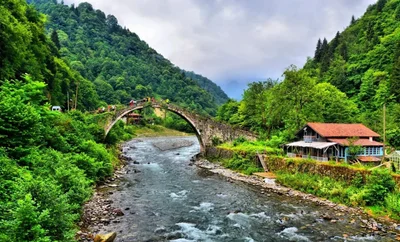 Çamlıhemşin - Photo 2