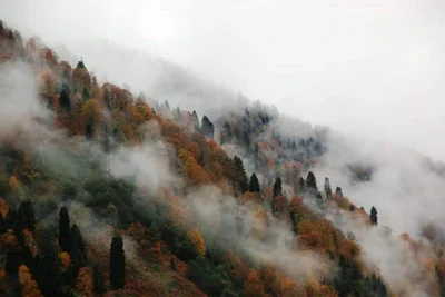 Çamlıhemşin - Photo 4