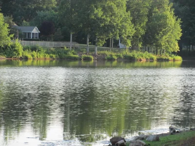 Town of Brookhaven - Photo 5