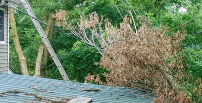 Cleveland Township - Photo 3