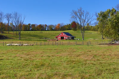 Hope Township - Photo 2