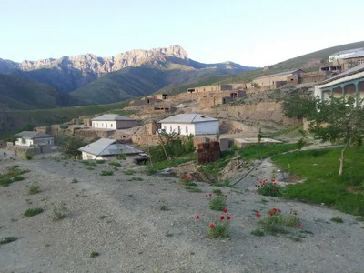Forish Tumani - Photo 3