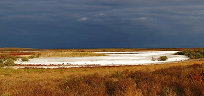 Forish Tumani - Photo 4