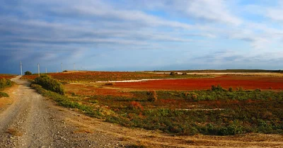 Forish Tumani - Photo 5