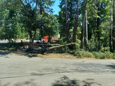 Trinity County - Photo 2