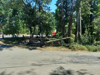 Trinity County - Photo 3