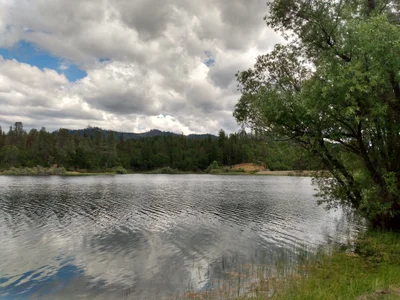 Trinity County - Photo 5