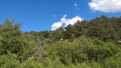 Cercedilla - Photo 4
