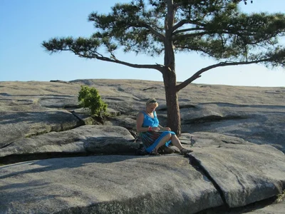 Stone Mountain - Photo 4
