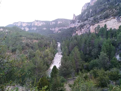Peñalén - Photo 3