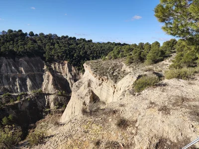Peñalén - Photo 4