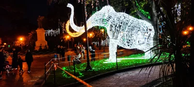 Salerno - Photo 5