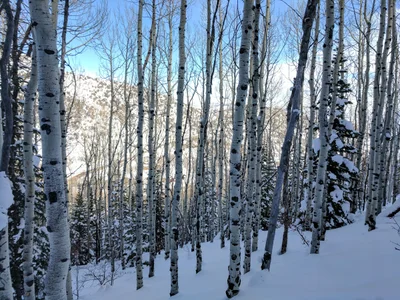 Summit County - Photo 2