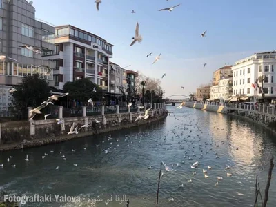 Yalova Merkez - Photo 2