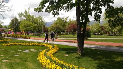 Bolu Merkez - Photo 2