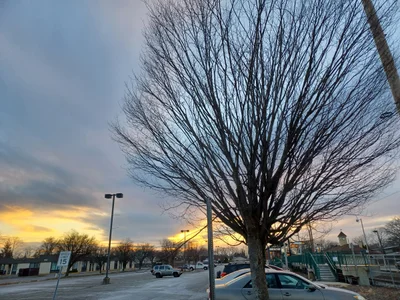 Town of Islip - Photo 2