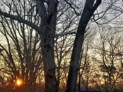 Town of Islip - Photo 4