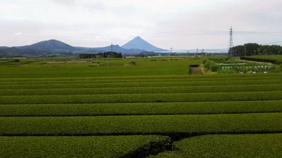 Minamikyushu - Photo 5