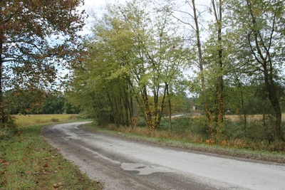 Holmes County - Photo 2