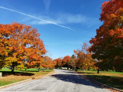 Alexandria Township - Photo 2