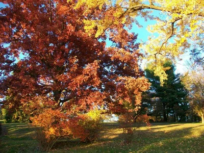 Sewickley - Photo 5