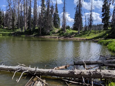 Wasatch County - Photo 4