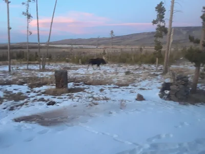 Jackson County - Photo 3