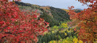 Heber - Photo 3