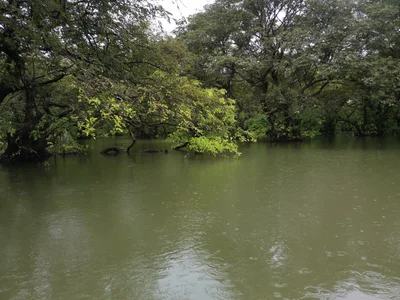 Sylhet - Photo 2