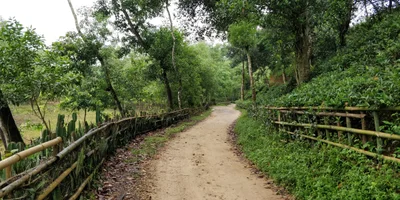 Sylhet - Photo 3