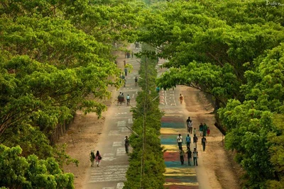 Sylhet - Photo 4