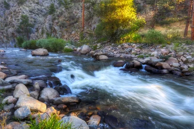Larimer County - Photo 4