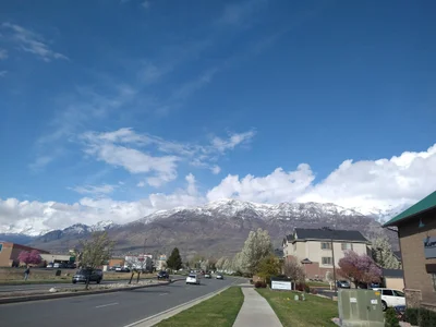 Pleasant Grove - Photo 4