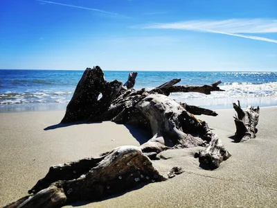 Torre dell'Orso - Photo 4