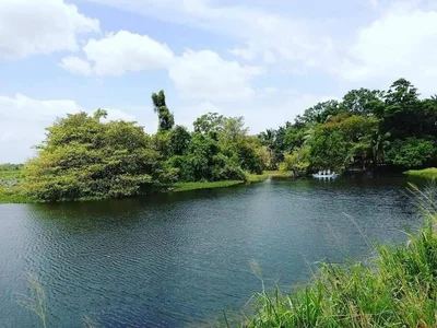 Habarana - Photo 3
