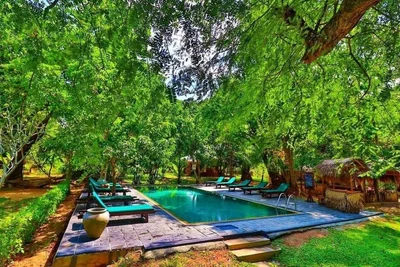 Habarana - Photo 4