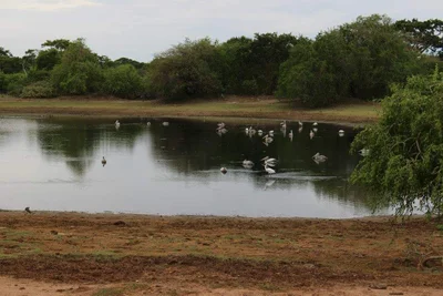 Habarana - Photo 5