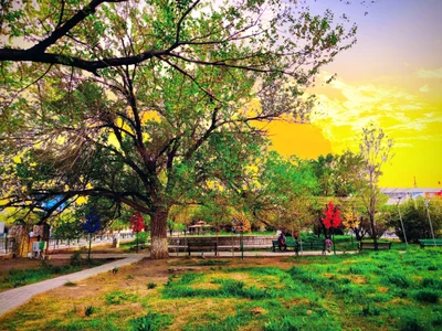 Dalanzadgad - Photo 2