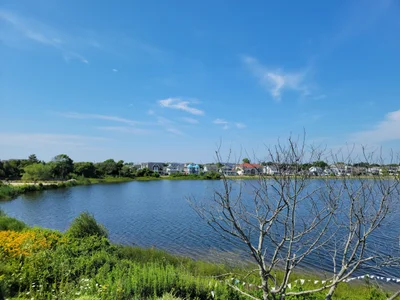 Point Pleasant Beach - Photo 2