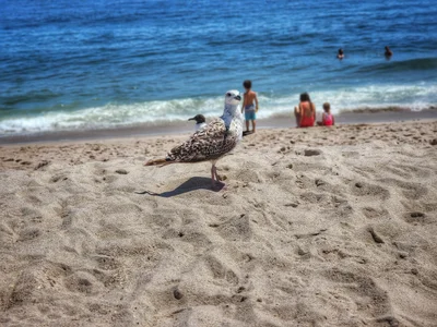 Point Pleasant Beach - Photo 5