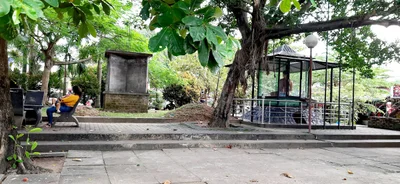 Nittambuwa - Photo 3