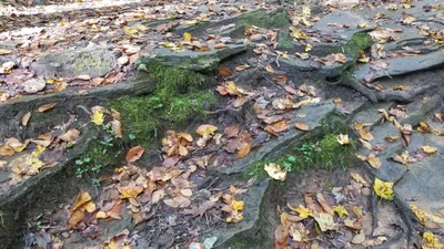 Middlecreek Township - Photo 2