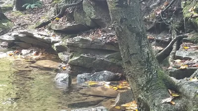 Middlecreek Township - Photo 3
