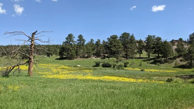 Boulder County - Photo 5