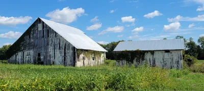 Parke County - Photo 3